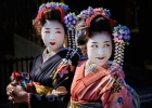 Geisha Glance - Kyoto